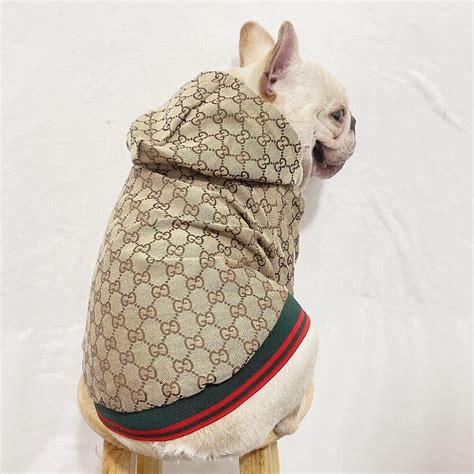 gucci wool coat|gucci coats for pets.